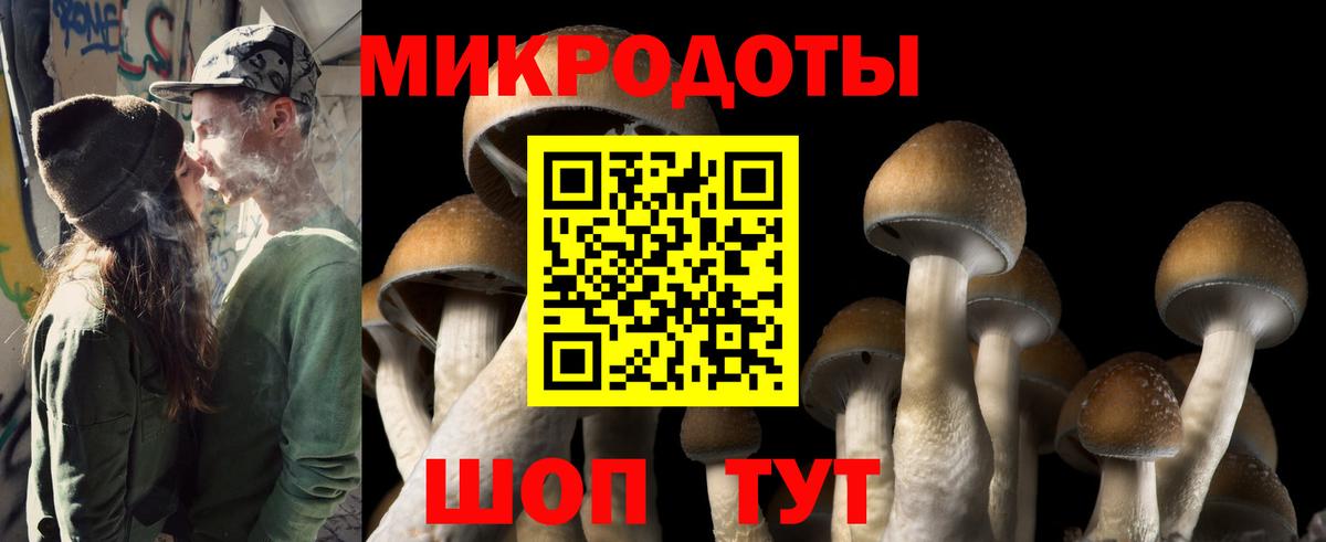 Галлюциногенные грибы Cubensis  Галлюциногенные грибы GOLDEN TEACHER  Вход с VPN  Нижнеудинск 
