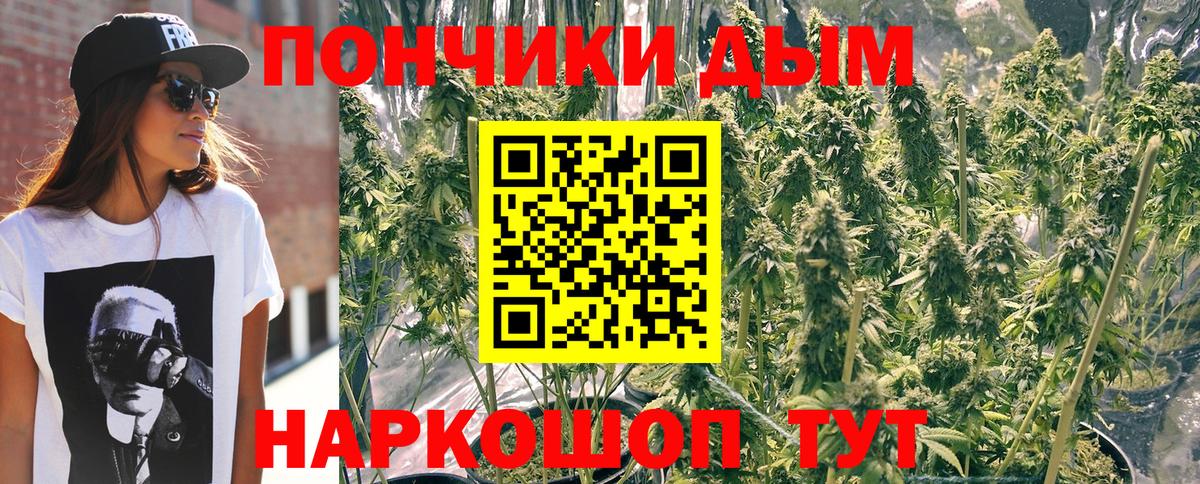 Нижнеудинск  Канабис VHQ  Бошки Шишки VHQ  Вход с VPN  Бошки Шишки SATIVA & INDICA 